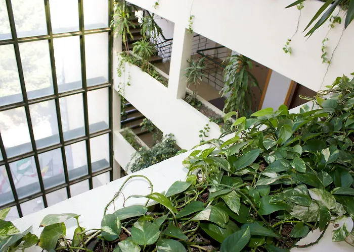 Ejido Hotel 3*