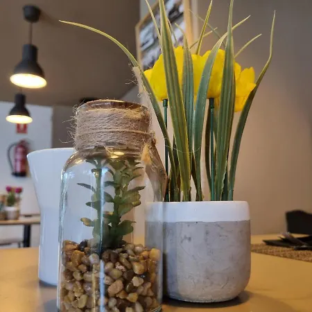 Ejido Hotel El Ejido